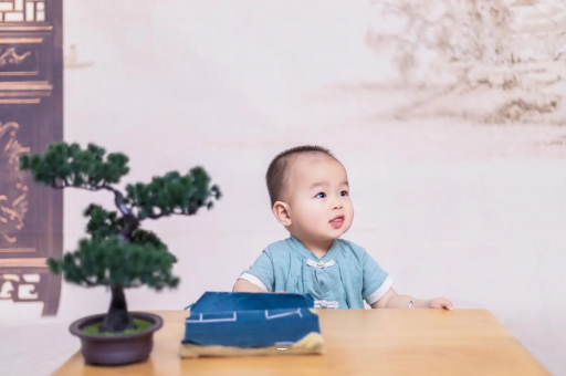 台山孕妇孕期食谱APP